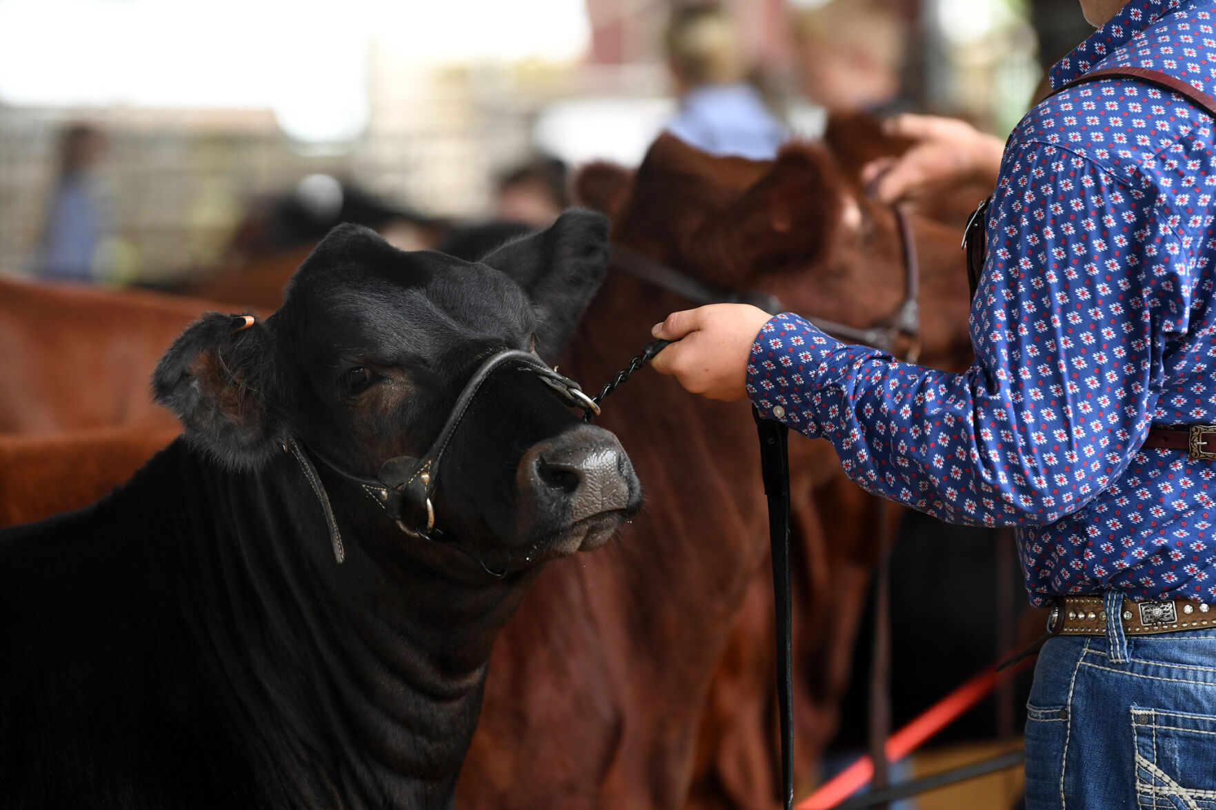 Burleson County Fair